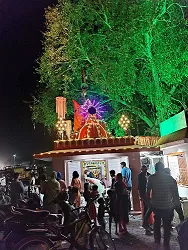 Vadla business in Gujarat