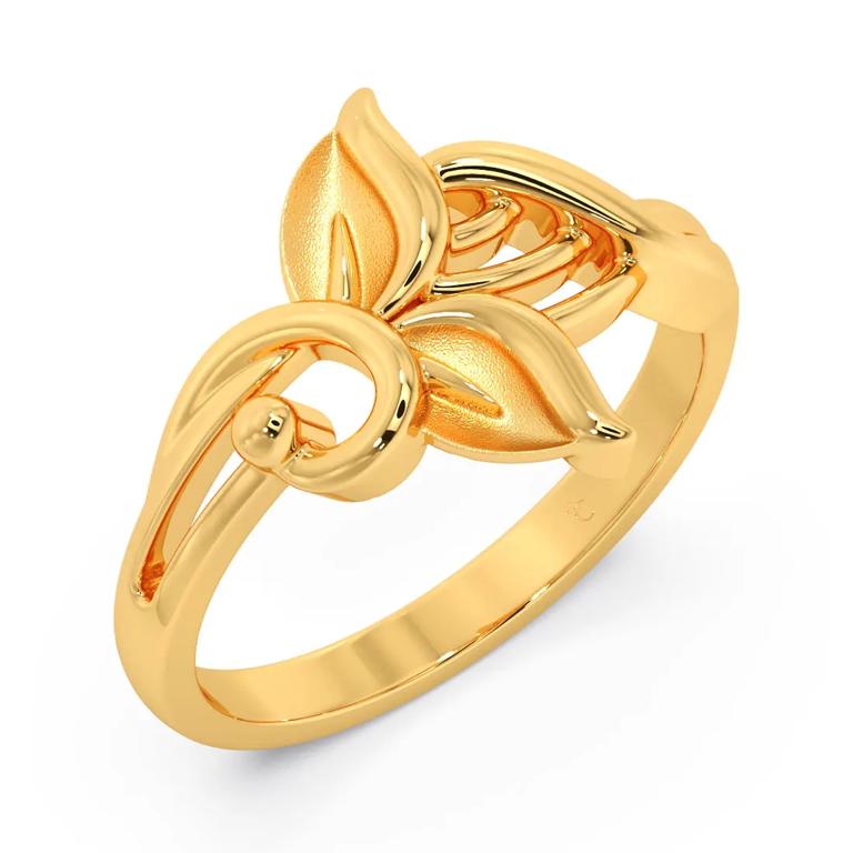 Ring SS1