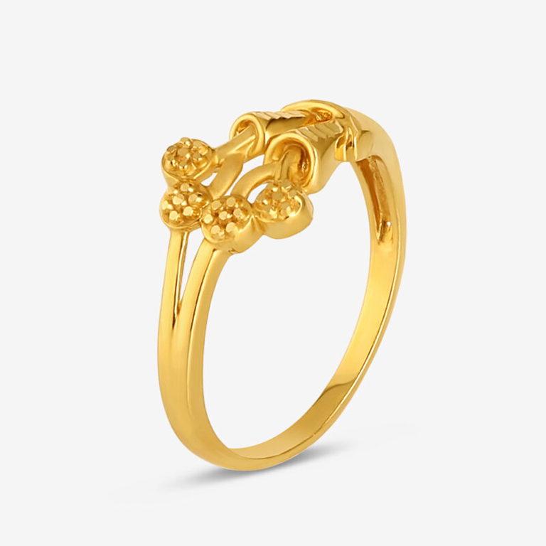 Ring SS1