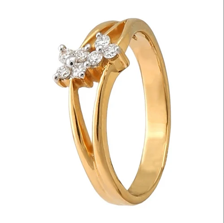 Ring SS1