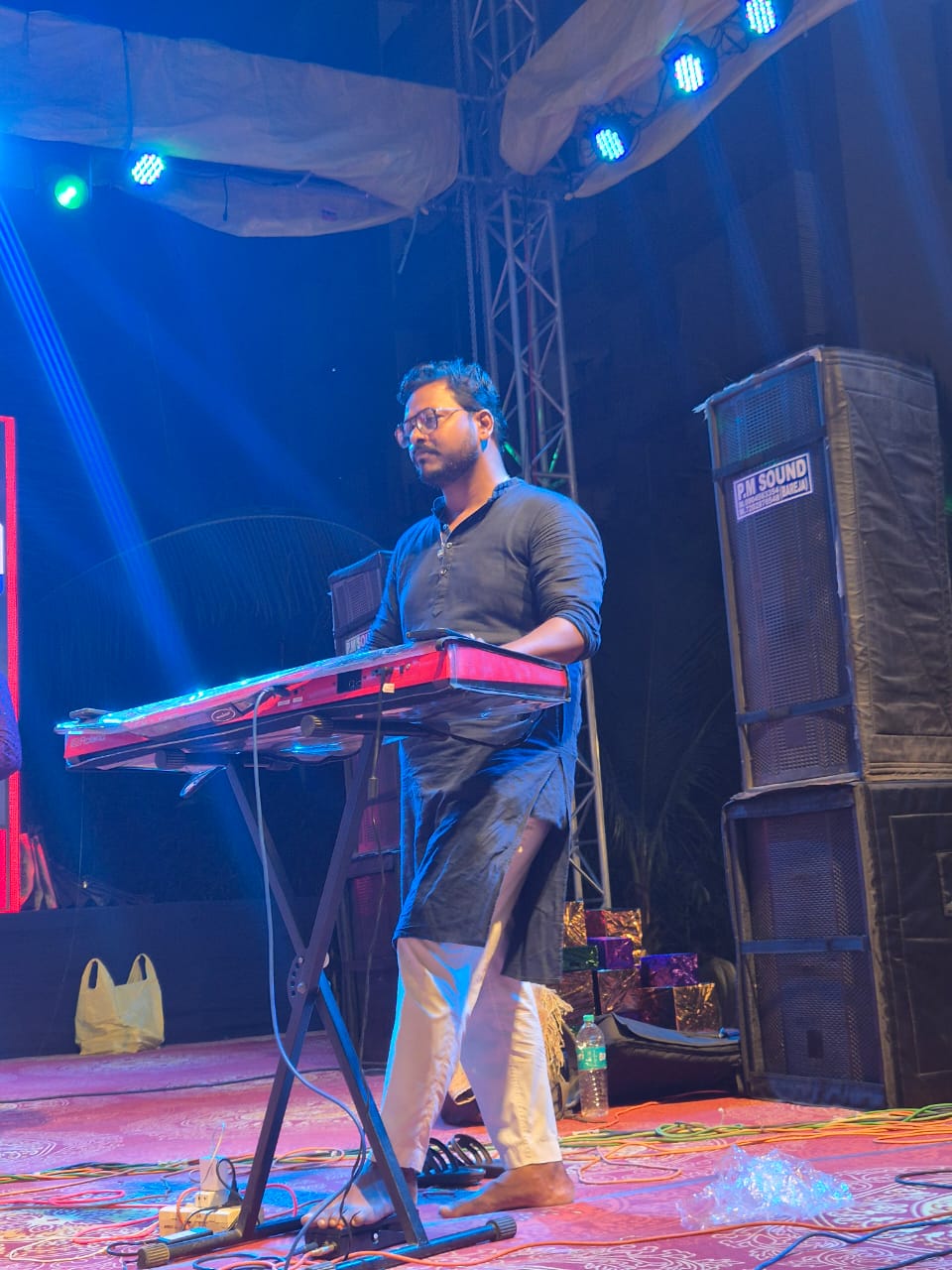 Mayank Patel - Instrumentalist (વાદ્ય કલાકાર) artist