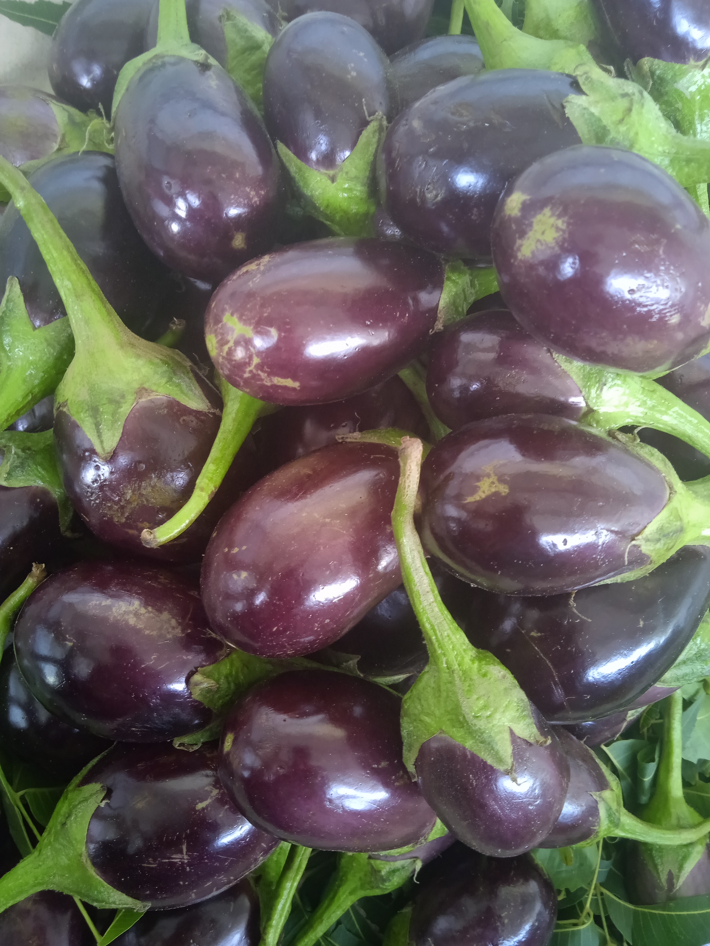 રીંગણા  ( 1 Kg) - દેવશીભાઇ વાડીવાળા
