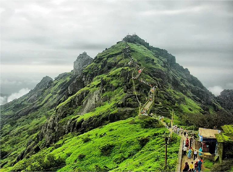 Junagadh – જુનાગઢ ( GJ-11) business in Gujarat