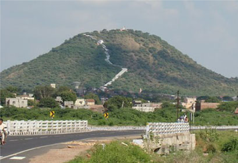 Surendranagar – સુરેન્દ્રનગર